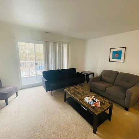 Large, Clean, Comfortable, 1Br Near Einstein Hos Elkins Park 外观 照片